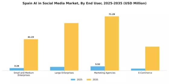 Spain AI in Social Media Market Segment Image 2