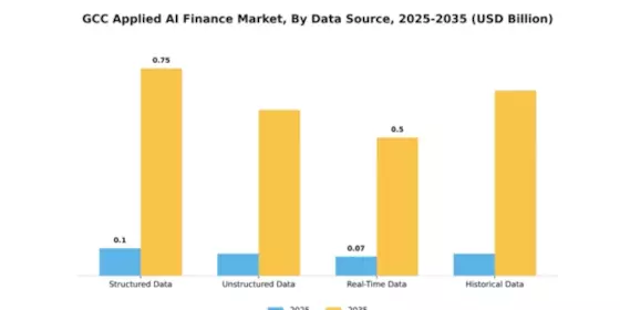 GCC Applied AI Finance Market Segment Image 1