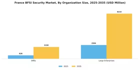 France BFSI Security Market Segment Image 1