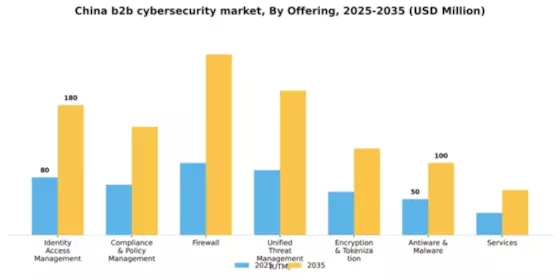 China B2B Cybersecurity Market Segment Image 2