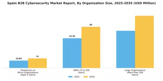 Spain B2B Cybersecurity Market Segment Image 3