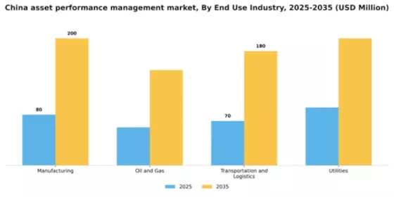China Asset Performance Management Market Segment Image 3