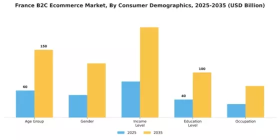 France B2C E commerce Market Segment Image 0