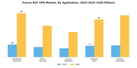 France B2C VPN Market Segment Image 0