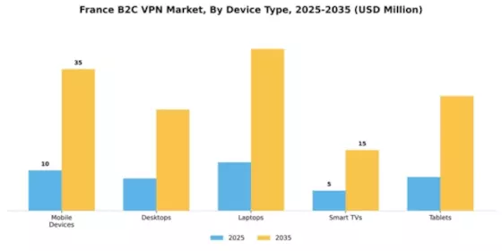 France B2C VPN Market Segment Image 1