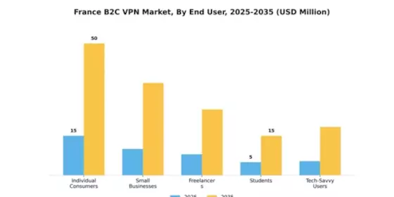 France B2C VPN Market Segment Image 2