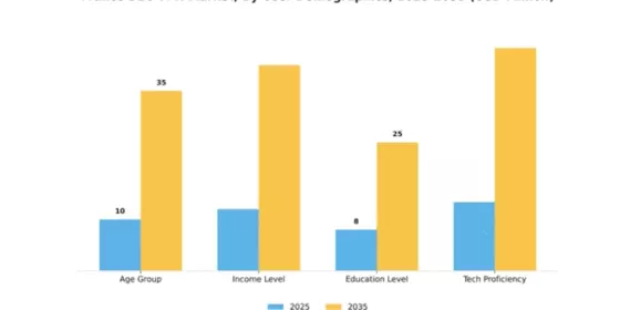 France B2C VPN Market Segment Image 4