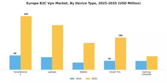 Europe B2C VPN Market Segment Image 1