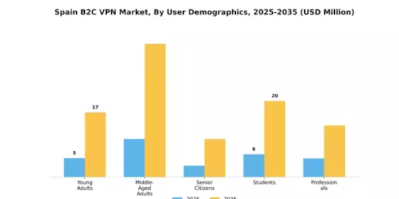 Spain B2C VPN Market Segment Image 4