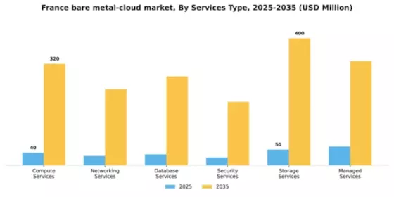 France Bare Metal Cloud Market Segment Image 1