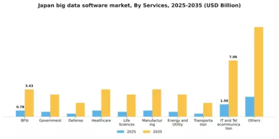 Japan Big Data Software Market Segment Image 2
