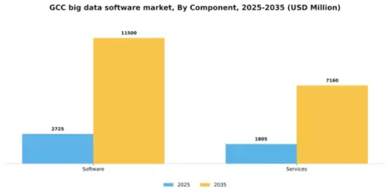 GCC Big Data Software Market Segment Image 0