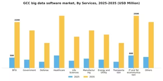 GCC Big Data Software Market Segment Image 2