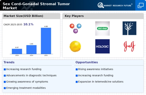 Sex Cord Gonadal Stromal Tumor Market Infographic Sex Cord Gonadal Stromal Tumor Market Infographic