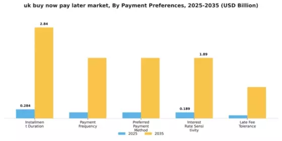 UK Buy Now Pay Later Market Segment Image 1