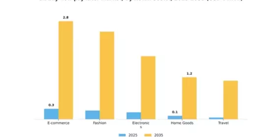 UK Buy Now Pay Later Market Segment Image 3