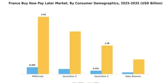 France Buy Now Pay Later Market Segment Image 0