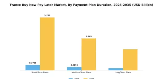 France Buy Now Pay Later Market Segment Image 2