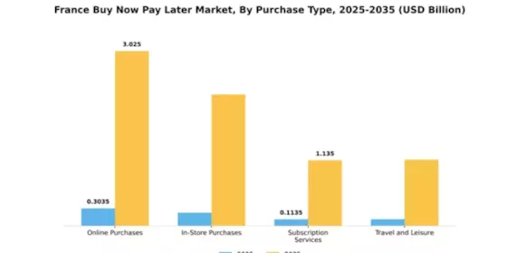 France Buy Now Pay Later Market Segment Image 3
