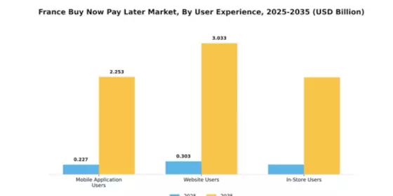 France Buy Now Pay Later Market Segment Image 4