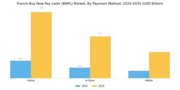 France Buy Now Pay Later Market Segment Image 0