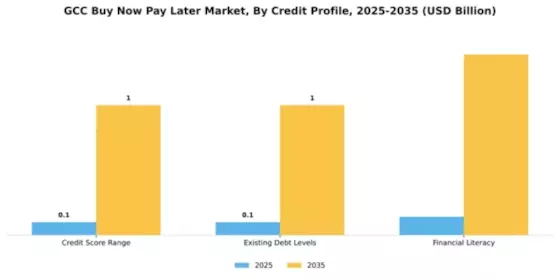 GCC Buy Now Pay Later Market Segment Image 1