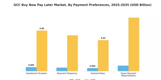 GCC Buy Now Pay Later Market Segment Image 2