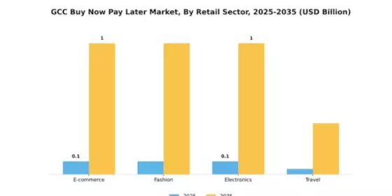 GCC Buy Now Pay Later Market Segment Image 3