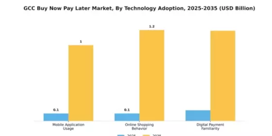GCC Buy Now Pay Later Market Segment Image 4