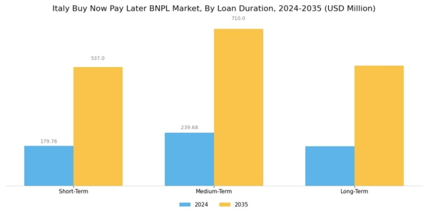 Italy Buy Now Pay Later Market Segment Image 3