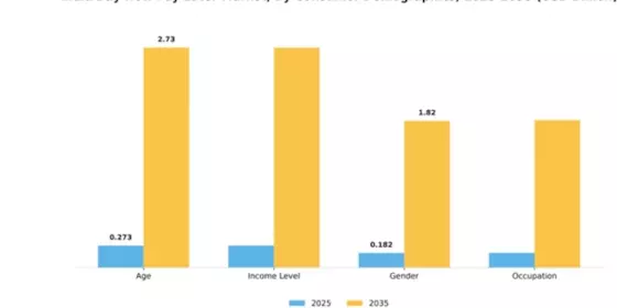 India Buy Now Pay Later Market Segment Image 0