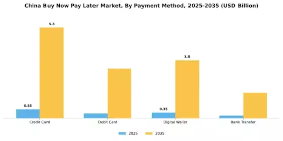 China Buy Now Pay Later Market Segment Image 1
