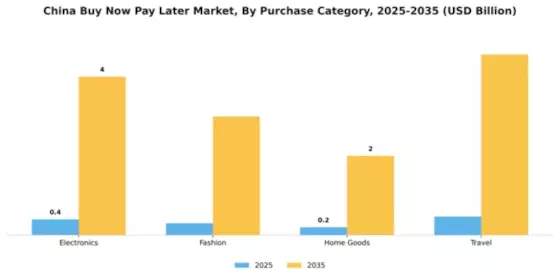 China Buy Now Pay Later Market Segment Image 2