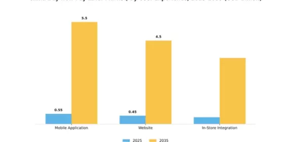 China Buy Now Pay Later Market Segment Image 4