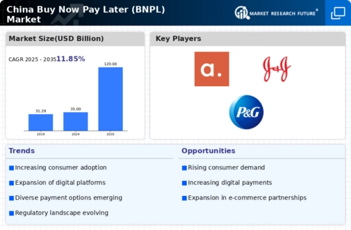 China Buy Now Pay Later Market Infographic