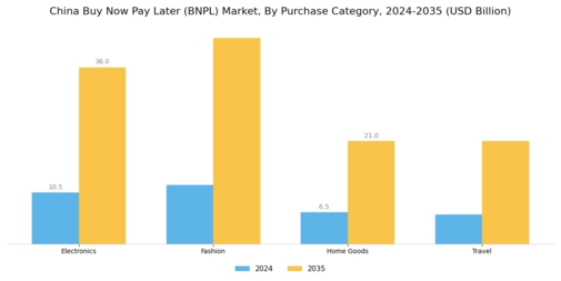 China Buy Now Pay Later Market Segment Image 2