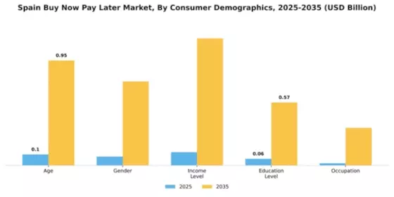 Spain Buy Now Pay Later Market Segment Image 0