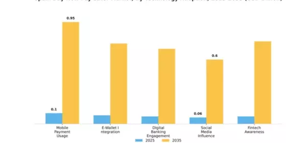 Spain Buy Now Pay Later Market Segment Image 3