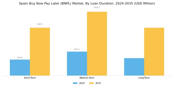 Spain Buy Now Pay Later Market Segment Image 3
