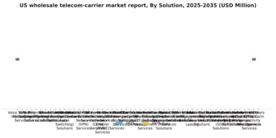US Wholesale Telecom Carrier Market Segment Image 2