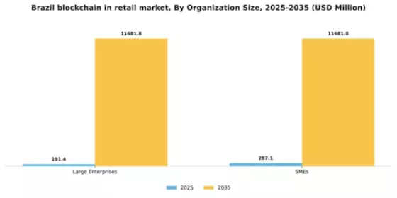 Brazil Blockchain in Retail Market Segment Image 1