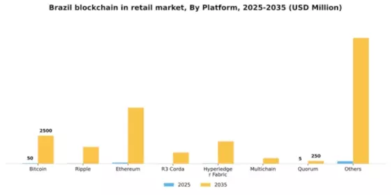 Brazil Blockchain in Retail Market Segment Image 2
