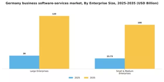 Germany Business Software Services Market Segment Image 2