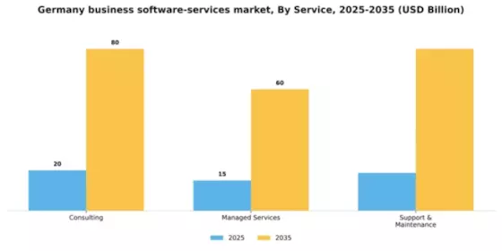 Germany Business Software Services Market Segment Image 3