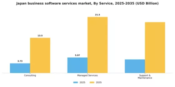 Japan Business Software Services Market Segment Image 3