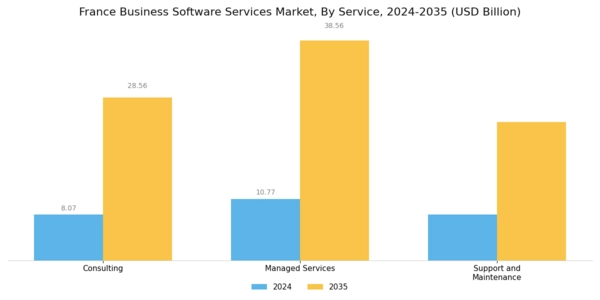 France Business Software Services Market Segment Image 1