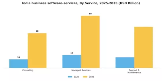 India Business Software Services Market Segment Image 3
