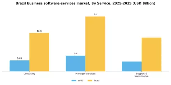 Brazil Business Software Services Market Segment Image 3