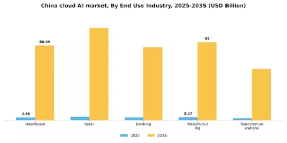 China Cloud AI Market Segment Image 2