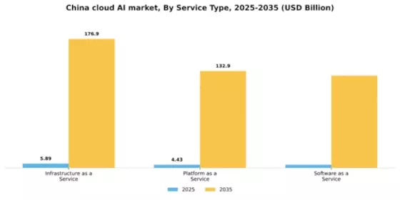 China Cloud AI Market Segment Image 3